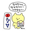 경동식품