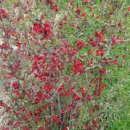 가실농장 이미지