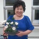 강서도서관 이미지