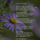 당신을 사장님이라 부른다면 ~ 이미지