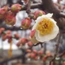 성실농원 이미지