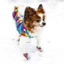 고등동물병원 이미지