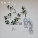 컬러 인 오늘 네이버블로그