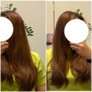 플라쥬 이미지