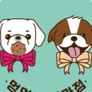 멍멍이 다과점 이미지