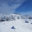 서부보건소 화장실 이미지