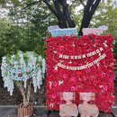 월성2동행정복지센터 이미지