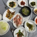 금빛선어