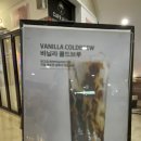 알루커피 이미지