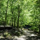 연화정민박 이미지