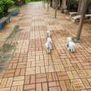 강하생활체육공원 이미지