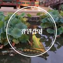 덕가행정사사무소 | 원주 가볼만한곳 야경 사진 찍기좋은 가을여행 국내여행지 추천 [강원감영]