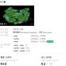블랙스톤골프장(회원제) | 이천 회원제 명문골프장 블랙스톤cc 필드레슨 후기