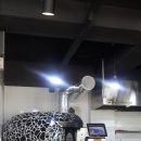 파파쿠치나 이미지