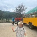 외갓집체험마을 | 서울 근교 양평 외갓집 체험마을 시골 체험 자세한 후기