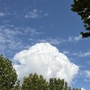 (주)디비앤에프지 | Week 5 of October