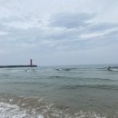 강현약국 이미지