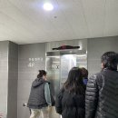 하동영화관 | 하동영화관에서 본 파묘(스포x, 짱재밌게봄내돈내산)