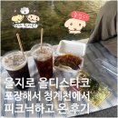 바 피크닉 | 을지로3가 올디스타코 포장해서 청계천 피크닉 간 후기 | 내돈내산 솔직후기