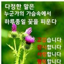 울산 간절곶공연중 짤막영상~~이모저모 이미지