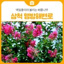 맹방해변로 이미지