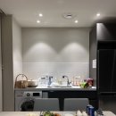 더레지아A 이미지