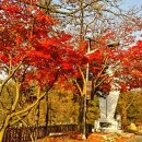 김유정 행장비 이미지