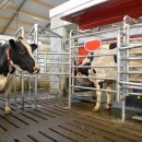 농은목장 이미지