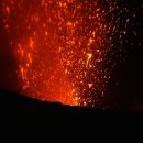 행복의섬 이미지