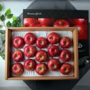 금계농원 | [풍기금계농원] 부사 보관용 페이지 삭제 X 사용 후기 - 가격과 품질 분석