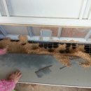 능성농장 이미지