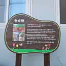 학동마을 | 경남 고성 가볼 만한 곳 고즈넉한 고성 학동마을 옛 담장