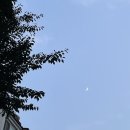 노보텔 용산 루프탑 수영장 스카이비치 (후기가 너무 없어..) 갔던 주간 일기