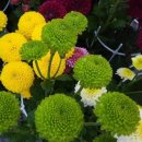 오션블루 이미지