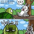 토끼와거북이 이미지