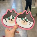 팡팡 | 부산 궁디팡팡 페스티벌 2026 후기ㅣ입장부터 주차까지 총정리