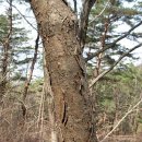 조성농장 이미지