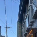 북대 | [전주 사주] 북대 마이다스 사주카페 방문후기