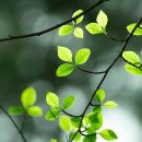 평택대학교 일반대학원 이미지