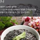 디긴차이나