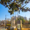 청솔2차공인중개사사무소 이미지