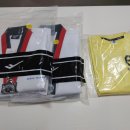 우석대 엘리트 태권도 이미지