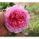 참살이농장 이미지