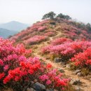 소산 티스토리