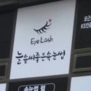 늘솜씨좋은속눈썹