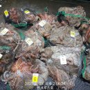 비응남로 이미지