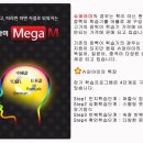 베스트영어