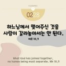 토비트 이미지
