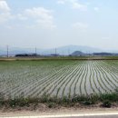 갈말읍사무소 이미지