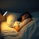 고위드짐 동남점 이미지